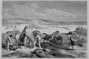 Caccia al guanaco (lama selvatico) e nandou (o struzzo patagonico) in Argentina - in "Tour du Monde", 2ª settimana 1861 da French School