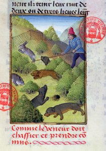 Caccia ai conigli con cani e reti, dal Livre de la Chasse di Gaston Phebus, inizio XV secolo