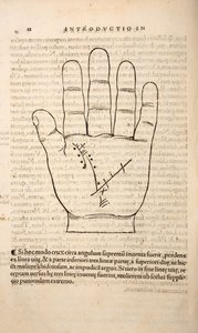 Illustrazione da Chiromantia di Joannes Indagioe, Strasburgo, 1531 da French School