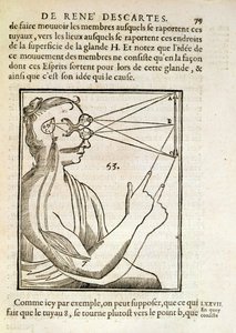 Illustrazione da De Homine Figuris di René Descartes (1596-1650) pubblicata a L