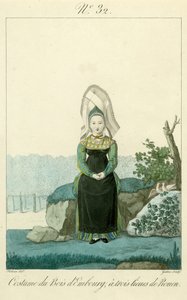 Illustrazione n. 32, Costume del Bois d