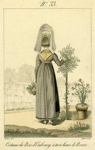Illustrazione n. 33, Costume di Bois d