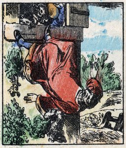 Illustrazione del racconto 