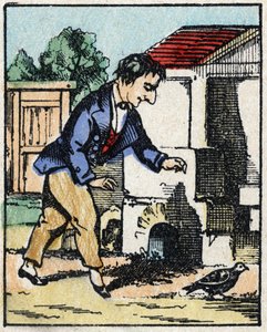 Illustrazione del racconto 