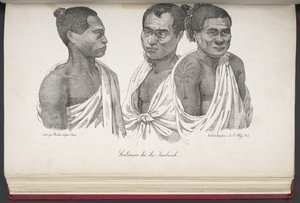 Abitanti delle Isole Sandwich, da 