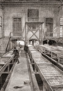 Interno di un allevamento ittico del XIX secolo a Huningue, Francia, da Les Merveilles de la Science, pubblicato c.1870 da French School