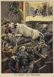 Interruzione di una rappresentazione teatrale da parte di un bue, Villefranche-de-Lauragais, Francia, 1897 da French School