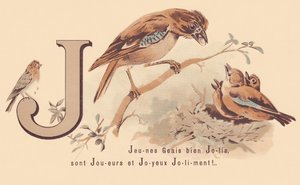 J: Giovani ghiandaie carine sono giocatori e felici Jolily!
