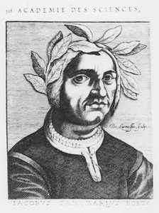 Jacopo Sannazaro (incisione)