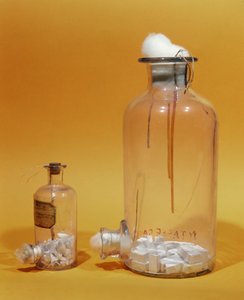 Vaso usato da Louis Pasteur (1811-95) nella sua ricerca (vetro)