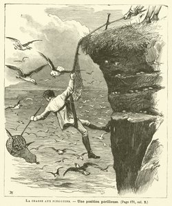 La Chasse Aux Pingouins da French School