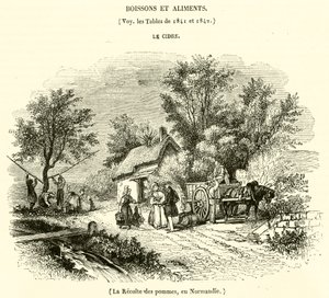 La raccolta delle mele, in Normandia da French School