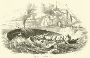 La pesca alla balena da French School