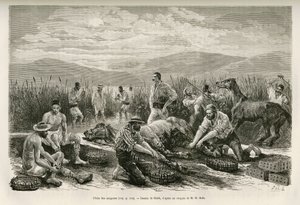La pesca delle sanguisughe, disegno di Sahib, per illustrare il racconto di Henri Belle: Viaggio in Grecia da French School