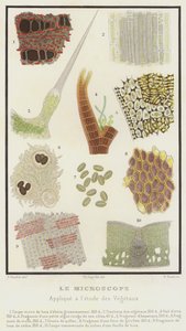 Il microscopio, applicato allo studio dei vegetali