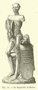 Lo Scheletro d