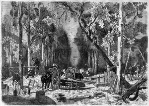 Il boscaiolo al giardino del Lussemburgo a Parigi nel 1870 - Incisione del 1870 da French School