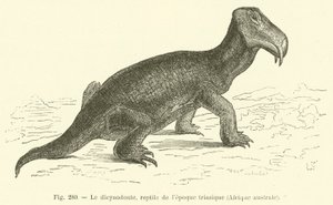 Il Dicynodonte, Rettile dell