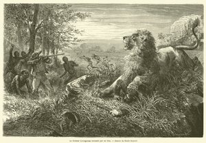 Il dottor Livingstone abbattuto da un leone da French School