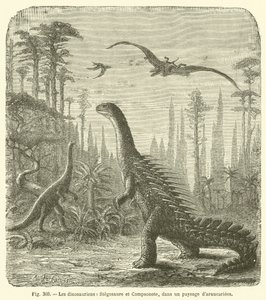 I Dinosauri, Stegosauro e Compsonote, in un Paesaggio di Araucarie da French School