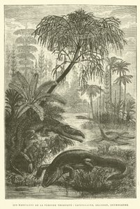 Gli abitanti del periodo triassico, capitosaure, belodon, nothosaure da French School