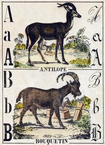 Lettera A Antilope; B Stambecco. Incisione in "Alfabeto degli animali selvatici". 9a Serie. Imagerie d