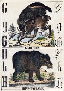 Lettera G Ghiottone; H Ippopotamo. Incisione in "Alfabeto degli animali selvatici". 9a Serie. Imagerie d