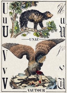 Lettera U Unau (pigro); V Avvoltoio. Incisione in "Alfabeto degli animali selvatici". 9a Serie. Immagini di Epinal, Pellerin, stampatore-editore, circa 1870. Incisioni su legno, stencil. 16 pagine. Dim: 20 x 15 cm. Collezione Privata