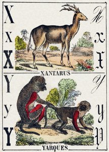 Lettera X Xantarus; Y Yarques