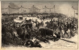 Marchiatura del bestiame - La ferrade in Camargue (festa organizzata durante la marchiatura a fuoco del bestiame) - incisione in 
