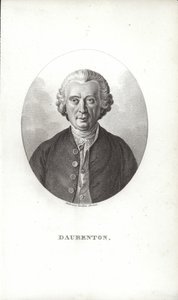 Louis-Jean-Marie Daubenton da French School