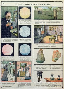 Louis Pasteur (1822-95) e malattie batteriche, da Les Sciences Physiques et Naturelles, Parigi, 1908