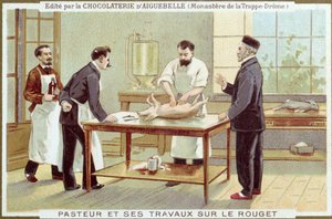 Louis Pasteur (1822-95) che lavora sull