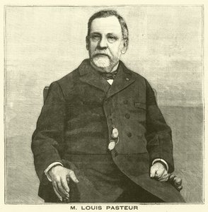 Louis Pasteur, microbiologo francese