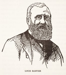 Louis Ranvier da French School
