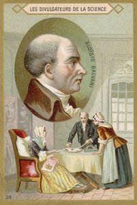 Luigi Galvani da French School