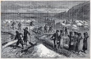 Saline della Bretagna nel XIX secolo - Incisione in "Scienze portate alla gratitudine dei grandi - fisica e chimica" di Alexis Clerc - Fine XIX secolo - Collezione privata da French School