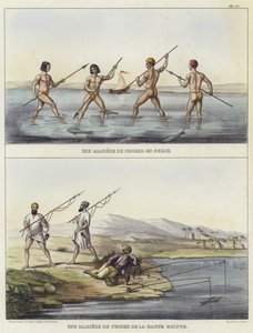 Metodi di pesca in Nubia e in Egitto da French School