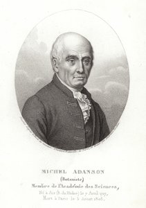 Michel Adanson