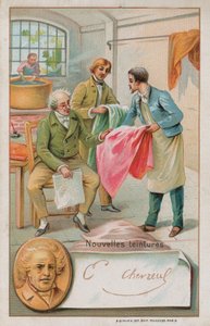 Michel Eugene Chevreul, chimico francese (1786-1889), che ispeziona alcuni nuovi coloranti da French School