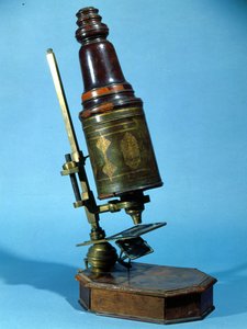 Microscopio (legno e ottone) da French School