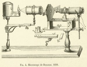 Microscopio di Bonanni da French School