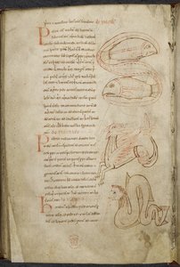 Miscellanea di opere su computo e astronomia, Royal MS 13 A XI da French School