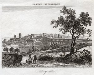 Montpellier da French School