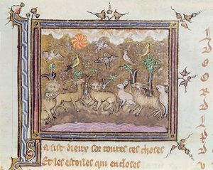 Ms 1044 fol.18 La Creazione degli Animali, da Ovide Moralise scritto da Chretien Legouais da French School