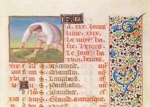 Ms 134 Giugno: Mietitura, da un Libro d