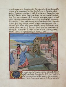 Un Mulino ad acqua, da l