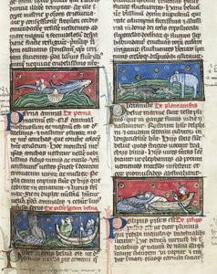 Ms 320 Fol.116 Mostri marini, da 
