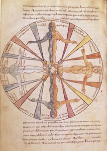 Ms 422 fol.6v Ruota delle stagioni e dei mesi, da De Natura Rerum di Sant