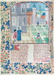 Ms 5064 f.151v Il giardino, illustrazione da Le Livre des Prouffitz Champestres di Pietro de Crescenzi (1230-132021) da French School
